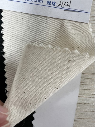 DG-HXC RPET 全棉 108*58 21*21 正面照